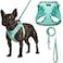 AMTOR Small Dog Harness with Leash Set No Escape Easy Walk Puppy Harnesses for Training Walking Stepin Reflective Soft Dogs Vest for XS S Medium ExtraSmall Large Sized DogGreenS