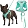 AMTOR Small Dog Harness with Leash Set No Escape Easy Walk Puppy Harnesses for Training Walking Stepin Reflective Soft Dogs Vest for XS S Medium ExtraSmall Large Sized DogGreenS