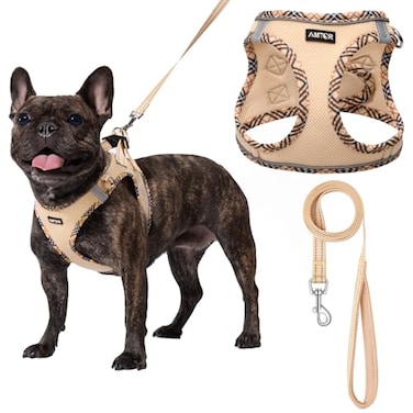 AMTOR Small Dog Harness with Leash Set No Escape Easy Walk Puppy Harnesses for Training Walking Stepin Reflective Soft Dogs Vest for XS S Medium ExtraSmall Large Sized DogBeigeS