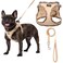 AMTOR Small Dog Harness with Leash Set No Escape Easy Walk Puppy Harnesses for Training Walking Stepin Reflective Soft Dogs Vest for XS S Medium ExtraSmall Large Sized DogBeigeS