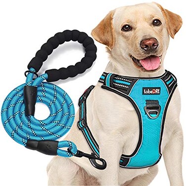 tobeDRI No Pull Dog Harness Adjustable Reflective Oxford Easy Control Medium Large Dog Harness with A Free Heavy Duty 5ft Dog Leash S Neck 1318 Chest 17522 Blue HarnessLeash