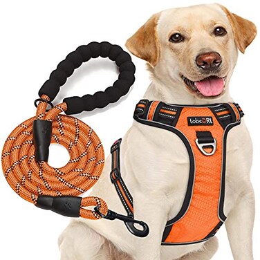 tobeDRI No Pull Dog Harness Adjustable Reflective Oxford Easy Control Medium Large Dog Harness with A Free Heavy Duty 5ft Dog Leash