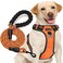tobeDRI No Pull Dog Harness Adjustable Reflective Oxford Easy Control Medium Large Dog Harness with A Free Heavy Duty 5ft Dog Leash