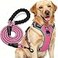 tobeDRI No Pull Dog Harness Adjustable Reflective Oxford Easy Control Medium Large Harness with A Free Heavy Duty 5ft Leash