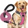tobeDRI No Pull Dog Harness Adjustable Reflective Oxford Easy Control Medium Large Harness with A Free Heavy Duty 5ft Leash