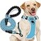 tobeDRI No Pull Dog Harness Adjustable Reflective Oxford Easy Control Medium Large Dog Harness with A Free Heavy Duty 5ft Dog Leash