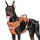 SlowTon No Pull Dog Harness Heavy Duty No Choke Pet Harness with 2 Leash Clips and Easy Control Vertical Handle Adjustable Soft Padded Dog Vest for Small Medium and Large DogsOrangeXLarge