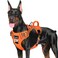 SlowTon No Pull Dog Harness Heavy Duty No Choke Pet Harness with 2 Leash Clips and Easy Control Vertical Handle Adjustable Soft Padded Dog Vest for Small Medium and Large DogsOrangeXLarge