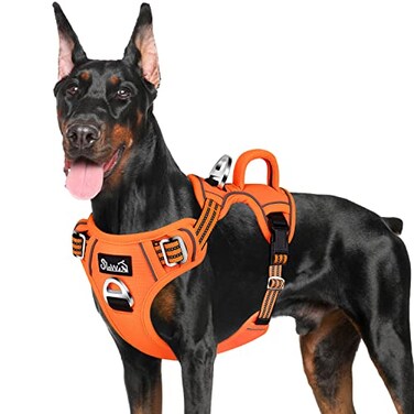 SlowTon No Pull Dog Harness Heavy Duty No Choke Pet Harness with 2 Leash Clips and Easy Control Vertical Handle Adjustable Soft Padded Dog Vest for Small Medium and Large DogsOrangeXLarge