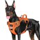 SlowTon No Pull Dog Harness Heavy Duty No Choke Pet Harness with 2 Leash Clips and Easy Control Vertical Handle Adjustable Soft Padded Dog Vest for Small Medium and Large DogsOrangeXLarge