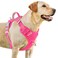 BARKBAY No Pull Dog Harness 3 Buckles Large Reflective Dog Harness with Front Clip and Easy Control Handle for Walking Training Running with ID tag PocketPinkXL