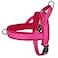 Didog No Pull Dog Harness with Breathable Mesh PaddedReflective Quick Fit Light Weight Dog Strap Vest HarnessEasy for Walking Training XSChest 1518 MeshHot Pink