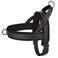 Didog No Pull Dog Harness with Breathable Mesh PaddedReflective Quick Fit Light Weight Dog Strap Vest HarnessEasy for Walking Training XSChest 1518 MeshBlack