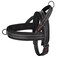 Didog No Pull Dog Harness with Breathable Mesh PaddedReflective Quick Fit Light Weight Dog Strap Vest HarnessEasy for Walking Training XSChest 1518 MeshBlack