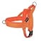 Didog No Pull Dog Harness with Breathable Mesh PaddedReflective Quick Fit Light Weight Dog Strap Vest HarnessEasy for Walking Training XSChest 1518 Orange