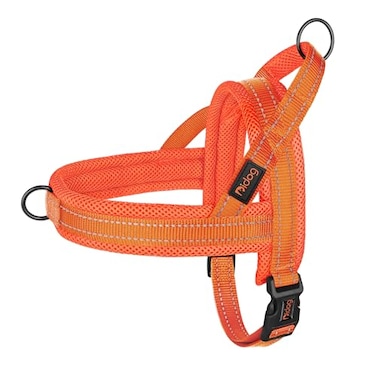 Didog No Pull Dog Harness with Breathable Mesh PaddedReflective Quick Fit Light Weight Dog Strap Vest HarnessEasy for Walking Training XSChest 1518 Orange