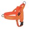 Didog No Pull Dog Harness with Breathable Mesh PaddedReflective Quick Fit Light Weight Dog Strap Vest HarnessEasy for Walking Training XSChest 1518 Orange