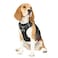 Funfox Dog Harness Medium Sized Dog Vertical Handle Easy Control No Pull Pet Vest Adjustable with 2 Leash Clips Soft Material Reflective Safe Night Walking for Small Medium Large Breed Black M