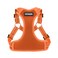 Best Pet Supplies Voyager Adjustable Stepin Flex Breathable Mesh Dog Harness for Small Medium Large Dogs Orange M