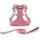 Best Pet Supplies Voyager Adjustable Stepin Flex Breathable Mesh Dog Harness for Small Medium Large Dogs Leash Set Pink S