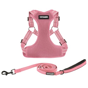 Best Pet Supplies Voyager Adjustable Stepin Flex Breathable Mesh Dog Harness for Small Medium Large Dogs Leash Set Pink S