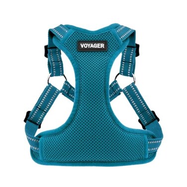 Best Pet Supplies Voyager Adjustable Stepin Flex Breathable Mesh Dog Harness for Small Medium Large Dogs Turquoise S