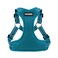 Best Pet Supplies Voyager Adjustable Stepin Flex Breathable Mesh Dog Harness for Small Medium Large Dogs Turquoise S