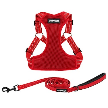 Best Pet Supplies Voyager Adjustable Stepin Flex Breathable Mesh Dog Harness for Small Medium Large Dogs Leash Set Red S
