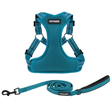 Best Pet Supplies Voyager Adjustable Stepin Flex Breathable Mesh Dog Harness for Small Medium Large Dogs Leash Set Turquoise S
