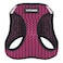 Best Pet Supplies Voyager Stepin Air Harness All Weather Mesh Reflective No Pull Harness for Dogs Cats Secure with Hook Loop Fastener Buckle Double DRings Fuchsia 2Tone S