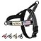 Annchwool No Pull Dog Harness with Soft Padded HandleReflective Strip Escape Proof and Quick Fit to Adjust Dog HarnessEasy for Training Walking for Small Medium and Large DogsBlackM