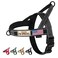 Annchwool No Pull Dog Harness with Soft Padded HandleReflective Strip Escape Proof and Quick Fit to Adjust Dog HarnessEasy for Training Walking for Small Medium and Large DogsBlackM
