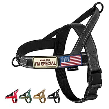 Annchwool No Pull Dog Harness with Soft Padded HandleReflective Strip Escape Proof and Quick Fit to Adjust Dog HarnessEasy for Training Walking for Small Medium and Large DogsBlackM