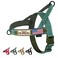 Annchwool No Pull Dog Harness with Soft Padded HandleReflective Strip Escape Proof and Quick Fit to Adjust HarnessEasy for Training Walking for Small Medium and Large DogsGreenL