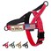 Annchwool No Pull Dog Harness with Soft Padded HandleReflective Strip Escape Proof and Quick Fit to Adjust Dog HarnessEasy for Training Walking for Small Medium and Large DogsRedS