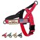 Annchwool No Pull Dog Harness with Soft Padded HandleReflective Strip Escape Proof and Quick Fit to Adjust Dog HarnessEasy for Training Walking for Small Medium and Large DogsRedS