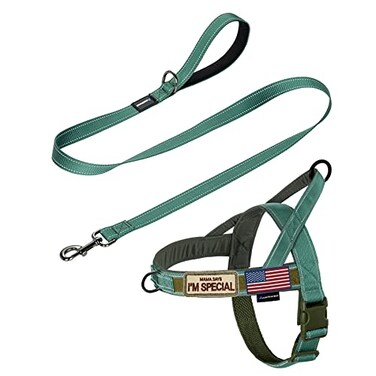Annchwool No Pull Dog Harness with Padded Handle5 Ft LeashReflective Strip Escape Proof and Quick Fit to Adjust Dog HarnessEasy for Training Walking for Small Medium and Large DogsGreenSetM