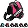 ALBCORP Service Dog Vest Harness Reflective Service Animal Vest NoPull Harness with Handle Mesh Padding Sizes XXSXL for Puppies 2 Removable Service Patches Included Extra Small Pink