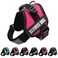 ALBCORP Service Dog Vest Harness Reflective Service Animal Vest NoPull Harness with Handle Mesh Padding Sizes XXSXL for Puppies 2 Removable Service Patches Included Extra Small Pink