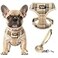 Pupteck Soft Mesh Dog Harness Sized and Leash Set Pet Puppy Cat Comfort Padded Vest No Pull Harnesses Beige Medium