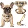 Pupteck Soft Mesh Dog Harness Sized and Leash Set Pet Puppy Cat Comfort Padded Vest No Pull Harnesses Beige Medium
