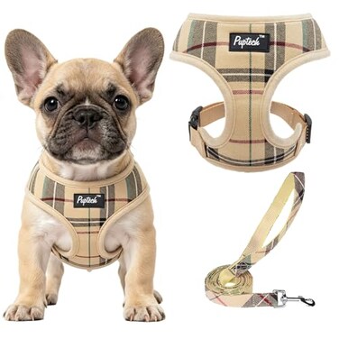 Pupteck Soft Mesh Dog Harness Sized and Leash Set Pet Puppy Cat Comfort Padded Vest No Pull Harnesses Beige Medium