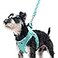 PUPTECK Dog Harness and Leash Set for Small Medium Dogs No Pull Stepin Soft Mesh Puppy Cat Vest Harnesses Reflective at Night Green S