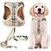 PUPTECK Adjustable Dog Harness Collar and Leash Set Step in No Pull Pet Harness for Small Medium Dogs Puppy and Cats Outdoor Walking Running Soft Mesh Padded Reflective Vest Harnesses Beige S