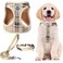 PUPTECK Adjustable Dog Harness Collar and Leash Set Step in No Pull Pet Harness for Small Medium Dogs Puppy and Cats Outdoor Walking Running Soft Mesh Padded Reflective Vest Harnesses Beige S