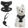 PUPTECK Small Dog Harness and Leash Set No Pull Adjustable Puppy Cat Harness Reflective Soft Mesh Pet Vest Small Sized Black S