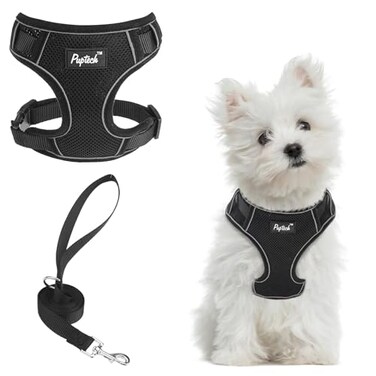 PUPTECK Small Dog Harness and Leash Set No Pull Adjustable Puppy Cat Harness Reflective Soft Mesh Pet Vest Small Sized Black S