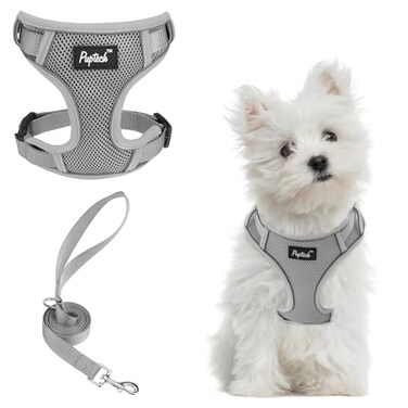 PUPTECK Small Dog Harness and Leash Set No Pull Adjustable Puppy Cat Harness Reflective Soft Mesh Pet Vest Small Sized Grey S