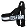 Doggie Stylz Deaf Dog Nylon Strap Service Dog Harness No Pull Guide Assistance Comes with 2 Reflective Deaf Dog Removable Patches Please Measure Your Dog Before Ordering