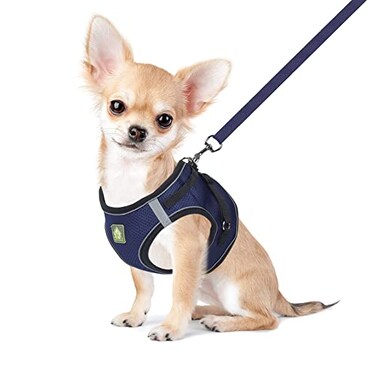 FEimaX Dog Cat Harness Set No Pull Reflective Adjustable Soft Mesh Red M Chest 137157